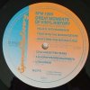 Great Moments Of Vinyl History (LP)