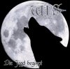 Wolf Im Schafspelz - Die Jagd Beginnt (CD)