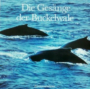 Humpback Whale - Die Gesänge Der Buckelwale (LP)