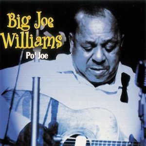 Big Joe Williams - Po' Joe (CD)