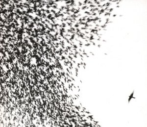 Wilco - Sky Blue Sky (CD)
