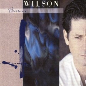 Brian Wilson - Brian Wilson (CD)