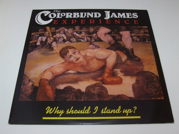 The Colorblind James Experience - Why Should I Stand Up? (LP)