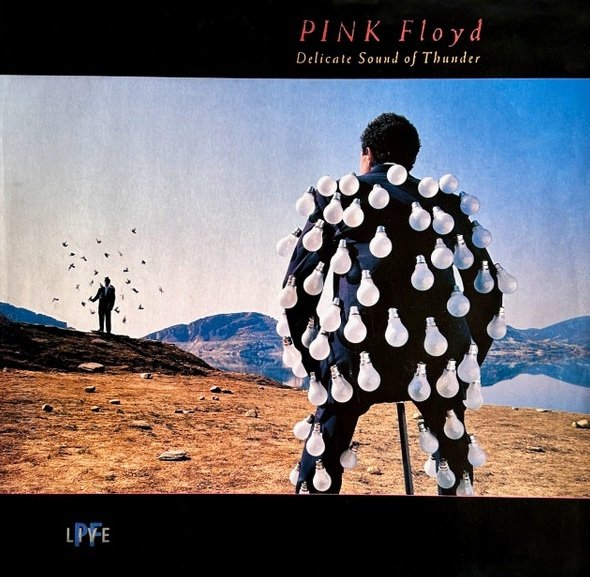 Pink Floyd - Delicate Sound Of Thunder (2LP)