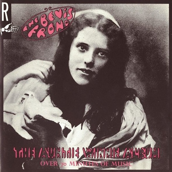 The Bevis Frond - The Auntie Winnie Album (CD)