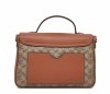 Torebka kuferek listonoszka  crossbody GUANCHI brązowa z klapą