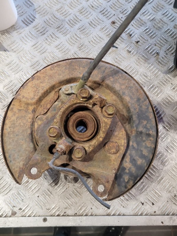 Piasta tył prawa tarcza kotwiczna Nissan X-Trail T31 2007 2.0DCI 