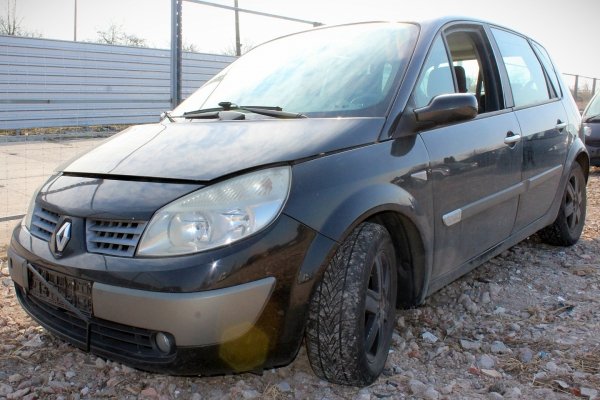 Renault Scenic II 2005 1.9DCI F9Q812 Minivan [B]