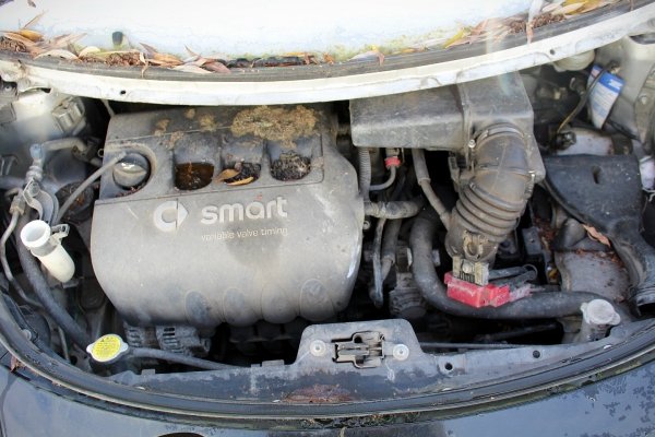 Smart Forfour 454 2004 1.3i 135930 Hatchback 5-drzwi [A]