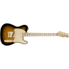 Fender Richie Kotzen Telecaster Maple Fingerboard Brown Sunburst