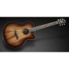 Framus FJ14 Jumbo Mahogany VS EB FB EQ
