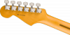 Fender 70th Anniversary American Professional II Stratocaster Rosewood Fingerboard Comet Burst