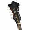 Ortega RMF30-WB Mandolina F Satin Whiskey Burst