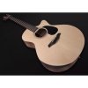 Furch Blue Deluxe Gc-SW LR Baggs SPE