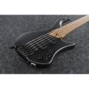 Ibanez EHB1005-BKF Bass Workshop gitara basowa 5 strunowa Black Flat