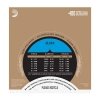 D'Addario EJ51 - Pro-Arte, szlifowane basy, twardy naciąg