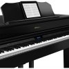 Roland GP607-PE