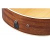 Ibanez PA230E-NSL Natural Low Gloss 