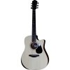 Furch Blue Performance DC-EM LR Baggs EAS VTC