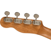 Fender Zuma Exotic Concert Ukulele Walnut Fingerboard Spalted Maple