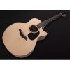 Furch Blue Deluxe Gc-SW LR Baggs SPE
