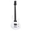 Blade TM Edition Durango DU-2RC/SW - gitara elektryczna