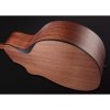 Furch Blue Deluxe Gc-CM LR Baggs SPE