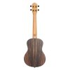 Ortega RUEB-TE Ukulele Tenorowe + Gigbag