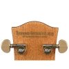 Richwood D-70 VA gitara akustyczna