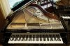  W. Hoffmann P 188 - fortepian 188 cm, chrome PASJA