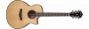 Ibanez AE410-LGS Natural Low Gloss Platinium Collection Gitara elektro-akustyczna