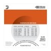 D'Addario EJ42 - Phosphor Bronze Resophonic 16-56