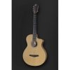 Furch GN2 CW + L.R. Baggs