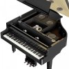 Roland GP-9 PE czarny połysk