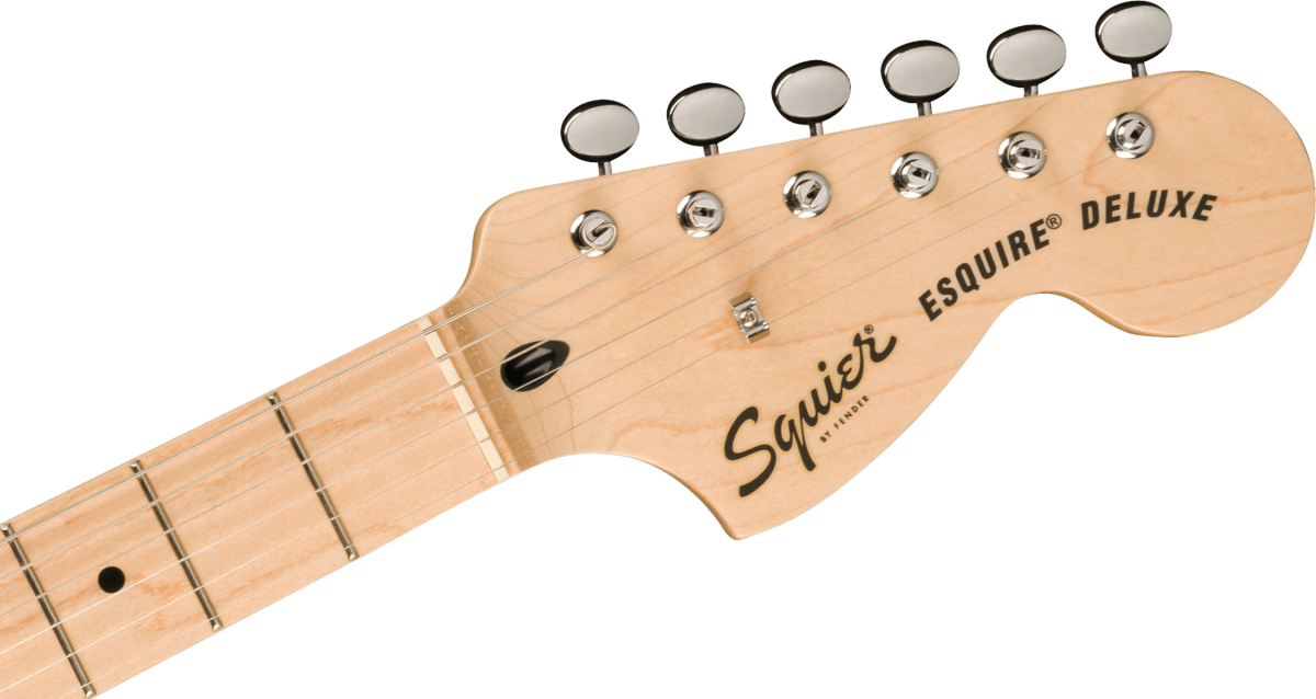 yutoriです！Squier Paranormal Esquire Squier 037-7045-565