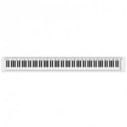 R1026 linijka 30cm klawiatura fortepianowa przezroczysta