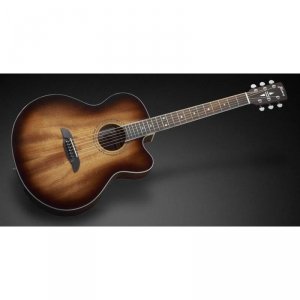 Framus FJ14 Jumbo Mahogany VS EB FB EQ