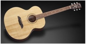 Framus FJ 14 SV VNT Jumbo