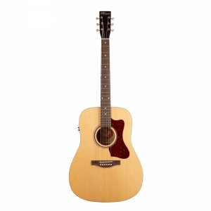 Norman B20 Natural GT Presys II