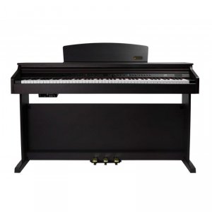 Artesia DP-10 RW