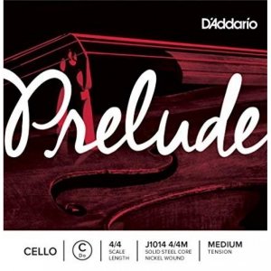 D'Addario J1014 4/4 Prelude struna wiolonczela C