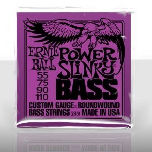 ERNIE BALL EB2831