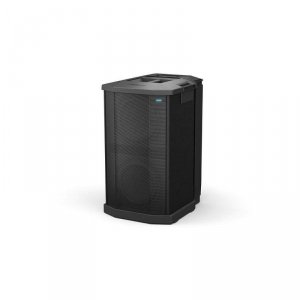 BOSE F1 SUBWOOFER