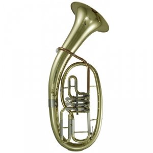 Roy Benson RB701450 Bb-Tenorhorn TH-202 Student Pro Series