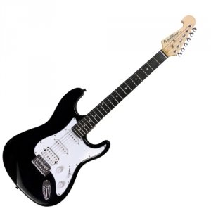 Washburn WS 300 H Black Sonamaster
