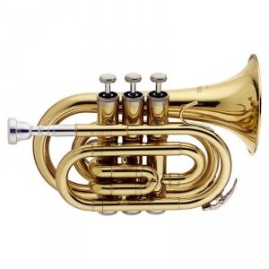 Stagg WS-TR245S - trąbka kieszonkowa” Bb
