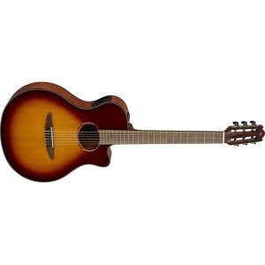 Yamaha NTX1 BS