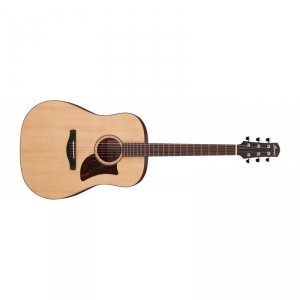 Ibanez AAD100-OPN