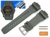 CASIO GR-7900KG-3 GW-7900KG-3 10403785