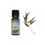 Airbi olejek eteryczny eukaliptus do aromatyzerów MAGIC , SENSE , LOTUS , CANDY, PET,